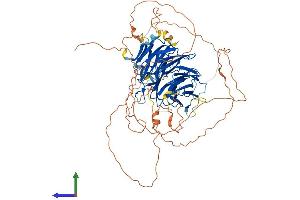 Protein Structure (PS) image for Denticleless E3 Ubiquitin Protein Ligase Homolog (DTL) (AA 1-730) protein (His tag) (ABIN7553752)