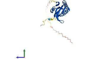 Protein Structure (PS) image for Molybdenum Cofactor Synthesis 2 (MOCS2) (AA 1-188) protein (His tag) (ABIN7549500)