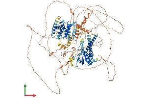 Protein Structure (PS) image for Pleckstrin and Sec7 Domain Protein (PSD) (AA 1-1024) protein (His tag) (ABIN7555083)