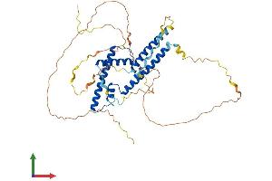 Protein Structure (PS) image for Suppressor of Ty 7 Like (SUPT7L) (AA 1-414) protein (His tag) (ABIN7546367)