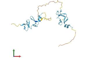 Protein Structure (PS) image for Cysteine and Glycine-Rich Protein 1 (CSRP1) (AA 1-193) protein (His tag) (ABIN7546752)