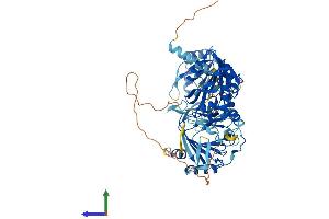 Protein Structure (PS) image for AlkB, Alkylation Repair Homolog 8 (ALKBH8) (AA 1-664) protein (His tag) (ABIN7552019)
