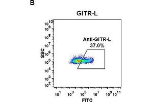 Flow cytometry data of serially titrated Rabbit anti-GITR-L monoclonal antibody (clone: DM53) on H929 cells. (Recombinant TNFRSF18 抗体  (AA 50-177))