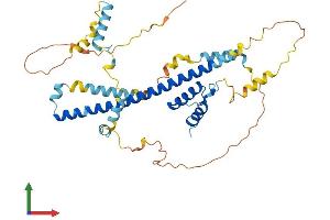 AlphaFold protein structure predicition of Mouse Recombinant Fez1 Protein, UniprotID Q8K0X8