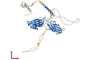 Protein Structure (PS) image for Synaptotagmin VI (SYT6) (AA 1-511) protein (His tag) (ABIN7556195)