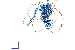 AlphaFold protein structure predicition of Mouse Recombinant Diaph3 Protein, UniprotID Q9Z207
