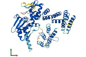 Protein Structure (PS) image for Ankyrin Repeat and BTB (POZ) Domain Containing 1 (ABTB1) (AA 1-478) protein (His tag) (ABIN7560373)