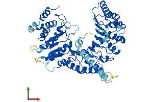 AlphaFold protein structure predicition of Mouse Recombinant Lrrc14b Protein, UniprotID Q3UJB3