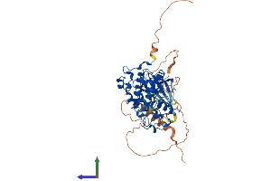 Protein Structure (PS) image for Cyclin-Dependent Kinase 14 (CDK14) (AA 1-469) protein (His tag) (ABIN7553225)