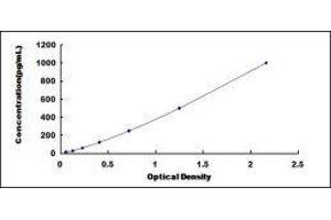 Fibroblast Growth Factor 4 (FGF4) ELISA Kit