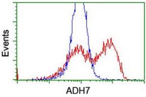 HEK293T cells transfected with either RC224304 overexpress plasmid (Red) or empty vector control plasmid (Blue) were immunostained by anti-ADH7 antibody (ABIN2455872), and then analyzed by flow cytometry. (ADH7 抗体)
