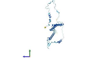 Protein Structure (PS) image for Enkurin, TRPC Channel Interacting Protein (ENKUR) (AA 1-255) protein (His tag) (ABIN7558106)