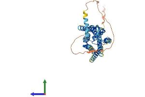 AlphaFold protein structure predicition of Human Recombinant S1PR3 Protein, UniprotID Q99500