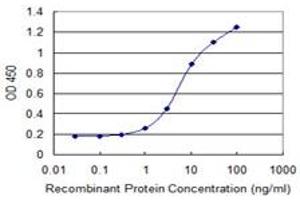 Detection limit for recombinant GST tagged AREG is 0. (Amphiregulin 抗体  (AA 20-129))
