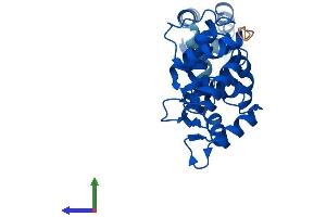 AlphaFold protein structure predicition of Human Recombinant DCUN1D2 Protein, UniprotID Q6PH85