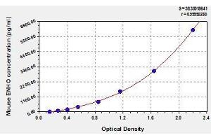 Typical standard curve (ENHO ELISA 试剂盒)