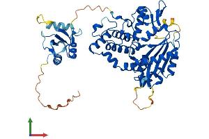 Protein Structure (PS) image for Polymerase (DNA Directed), mu (POLM) (AA 1-496) protein (His tag) (ABIN7561557)