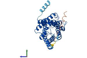 Protein Structure (PS) image for Aquaporin 9 (AQP9) (AA 1-295) protein (His tag) (ABIN7561591)