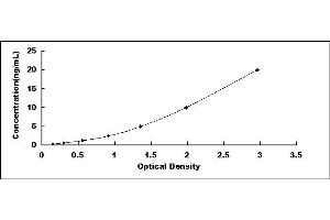 Typical standard curve (GRIN2B ELISA 试剂盒)