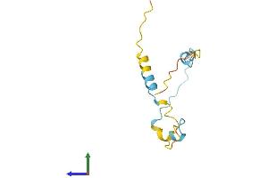 Protein Structure (PS) image for Limb-Bud and Heart (LBH) (AA 1-105) protein (His tag) (ABIN7560704)