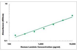 Representative Standard Curve (Laminin ELISA 试剂盒)