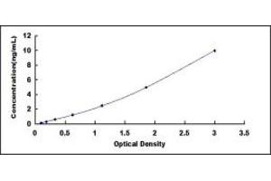 Typical standard curve (UBIAD1 ELISA 试剂盒)