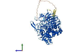 Protein Structure (PS) image for Mannosyl-Oligosaccharide Glucosidase (MOGS) (AA 1-834) protein (His tag) (ABIN7558336)