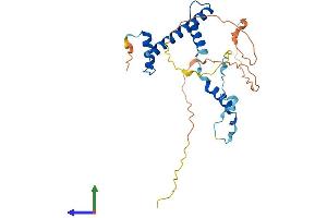AlphaFold protein structure predicition of Human Recombinant TAF9 Protein, UniprotID Q16594
