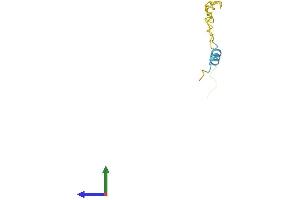 Protein Structure (PS) image for SNRPN Upstream Reading Frame (SNURF) (AA 1-71) protein (Fc Tag) (ABIN7556261)