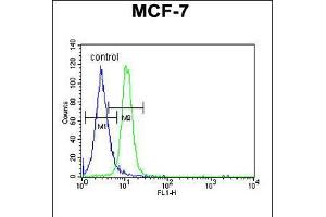 Flow cytometric analysis of MCF-7 cells (right histogram) compared to a negative control cell (left histogram). (PSG7 抗体  (C-Term))