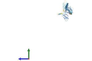 Protein Structure (PS) image for SWAP Switching B-Cell Complex 70kDa Subunit (SWAP70) (AA 1-585) protein (His tag) (ABIN7555641)