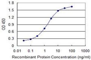Detection limit for recombinant GST tagged EPHB1 is 0. (EPH Receptor B1 抗体  (AA 221-320))