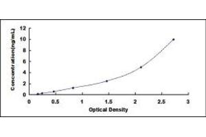 Typical standard curve (MMP26 ELISA 试剂盒)