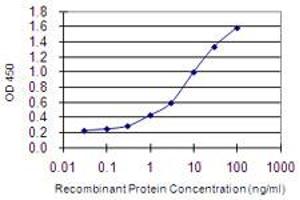 Detection limit for recombinant GST tagged CRIPT is 0. (CRIPT 抗体  (AA 1-101))