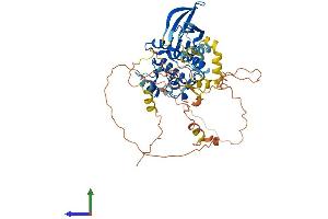 AlphaFold protein structure predicition of Mouse Recombinant Nek3 Protein, UniprotID Q9R0A5