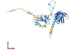 AlphaFold protein structure predicition of Mouse Recombinant Dapp1 Protein, UniprotID Q9QXT1 (DAPP1 Protein (AA 1-280) (His tag))