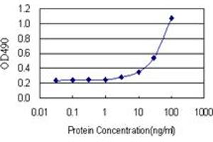 Sandwich ELISA detection sensitivity ranging from 3 ng/mL to 100 ng/mL.