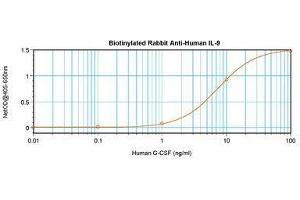 Image no. 2 for anti-Interleukin 9 (IL9) antibody (Biotin) (ABIN465832) (IL-9 抗体  (Biotin))