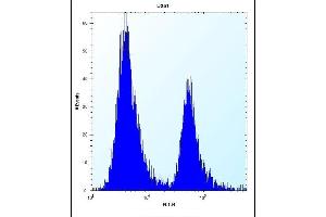 PEG10 Antibody (N-term) (ABIN656590 and ABIN2845851) flow cytometric analysis of  cells (right histogram) compared to a negative control cell (left histogram). (PEG10 抗体  (N-Term))