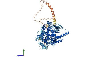 Protein Structure (PS) image for Dpy-19-Like 2 (DPY19L2) (AA 1-758) protein (His tag) (ABIN7553619)