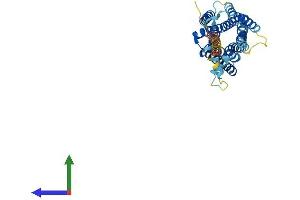 Protein Structure (PS) image for Tachykinin Receptor 2 (TACR2) (AA 1-384) protein (His tag) (ABIN7563090)