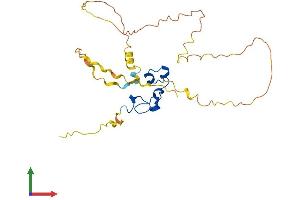 Protein Structure (PS) image for Nanos Homolog 1 (NANOS1) (AA 1-267) protein (His tag) (ABIN7558403)