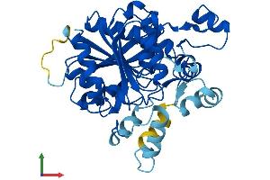 AlphaFold protein structure predicition of Human Recombinant LIPJ Protein, UniprotID Q5W064