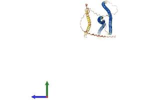 Protein Structure (PS) image for Internexin Neuronal Intermediate Filament Protein, alpha (INA) (AA 1-501) protein (His tag) (ABIN7563277)