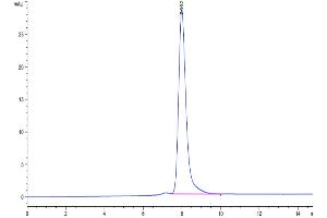 Size-exclusion chromatography-High Pressure Liquid Chromatography (SEC-HPLC) image for Ring Finger Protein 34 (RNF34) (AA 24-197) protein (Fc Tag) (ABIN7275519)