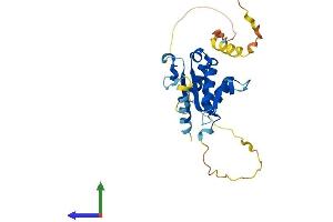 Protein Structure (PS) image for Toll-Interleukin 1 Receptor (TIR) Domain Containing Adaptor Protein (TIRAP) (AA 1-241) protein (His tag) (ABIN7560325)