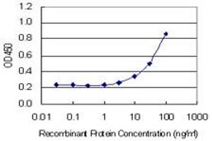 Detection limit for recombinant GST tagged ANG is 1 ng/ml as a capture antibody. (ANG 抗体  (AA 25-147))