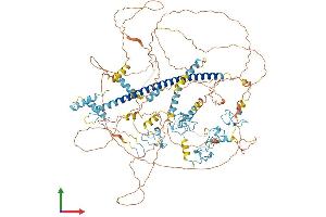 Protein Structure (PS) image for Zinc Finger Protein 387 (ZNF387) (AA 1-1045) protein (His tag) (ABIN7564244)