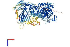 AlphaFold protein structure predicition of Mouse Recombinant Pla2g4f Protein, UniprotID Q50L41