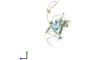 Protein Structure (PS) image for Dynein, Cytoplasmic 1, Light Intermediate Chain 1 (DYNC1LI1) (AA 1-523) protein (His tag) (ABIN7553614)